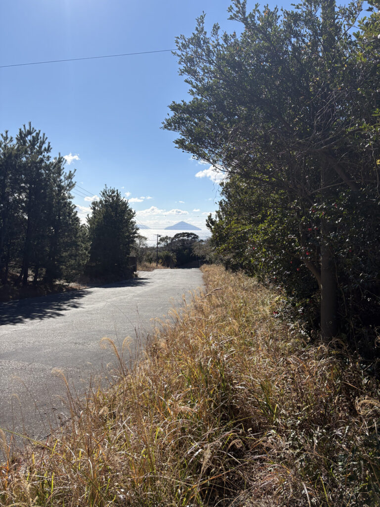 大島町野増　売地